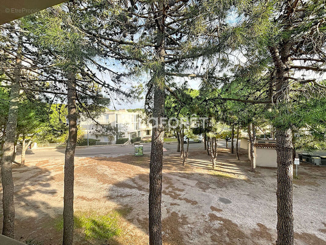 Appartement à ARGELES-SUR-MER