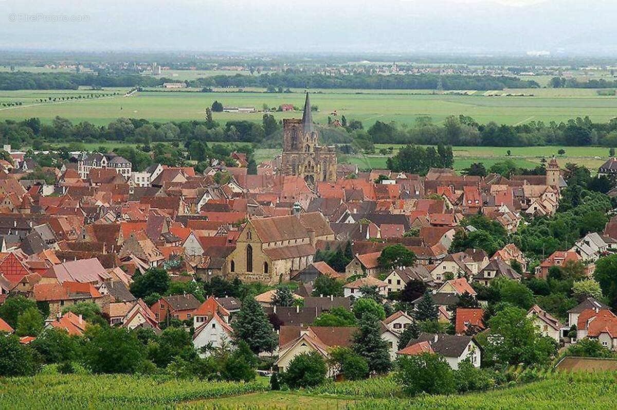 Commerce à ROUFFACH