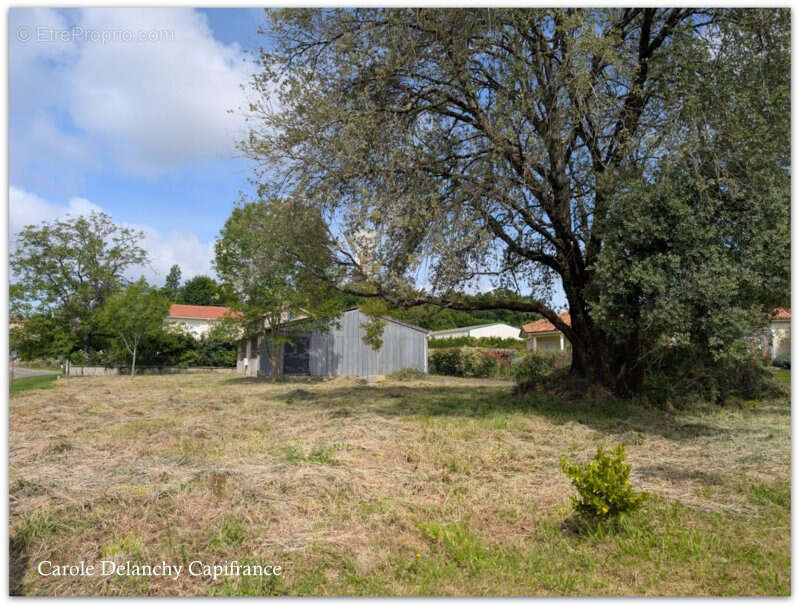 Hangar à aménager en habitation – 150 m² – Terrain 1192 m² – Proche Chemin de Compostelle - photo 2