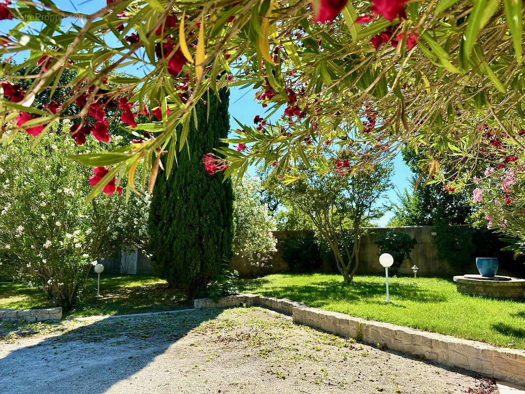 Maison à SUZE-LA-ROUSSE