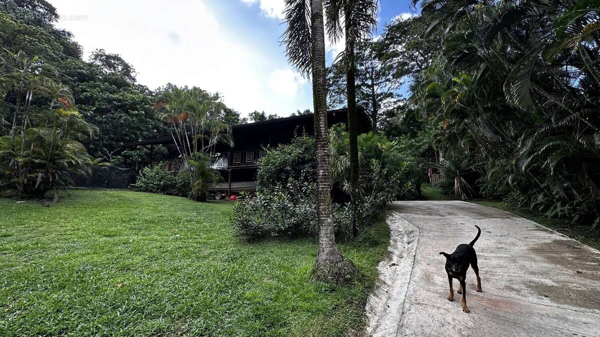 Maison à REMIRE-MONTJOLY