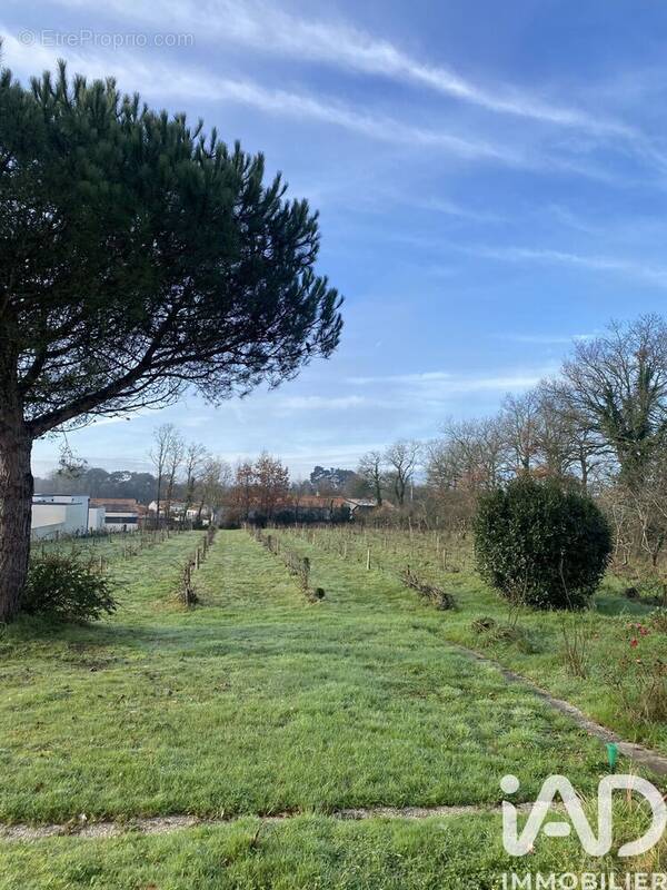 Photo 1 - Terrain à COEX