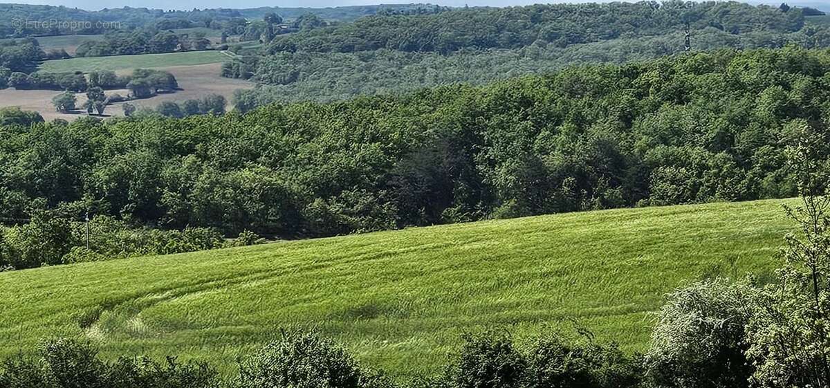 Terrain à ORDAN-LARROQUE