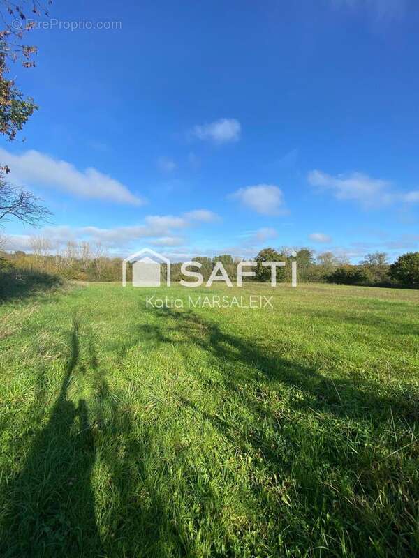 Photo 3 - Maison à NEUVY-SAINT-SEPULCHRE