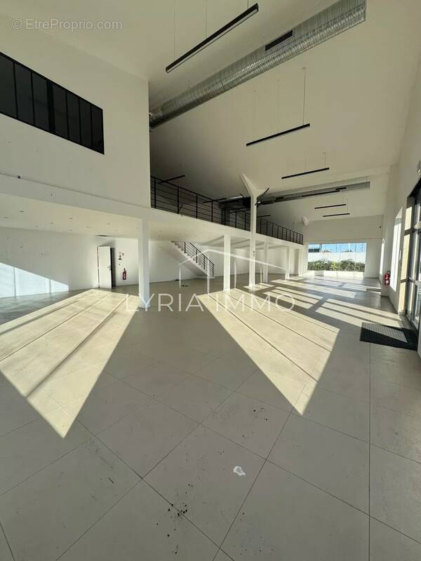 Commerce à ROQUEBRUNE-SUR-ARGENS