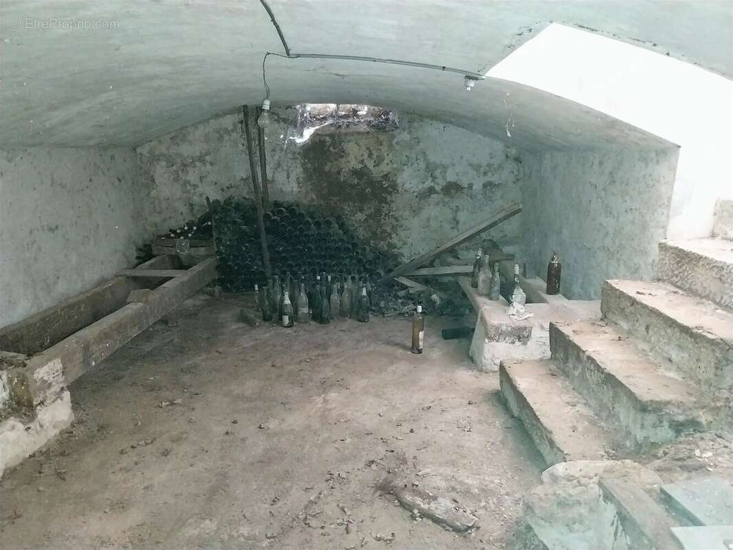 Maison à ARGENTON-SUR-CREUSE