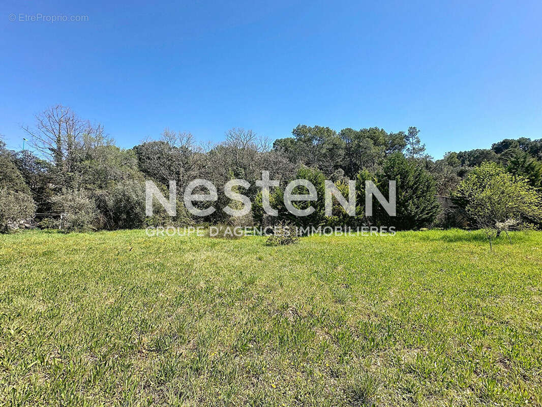 Terrain à LORGUES