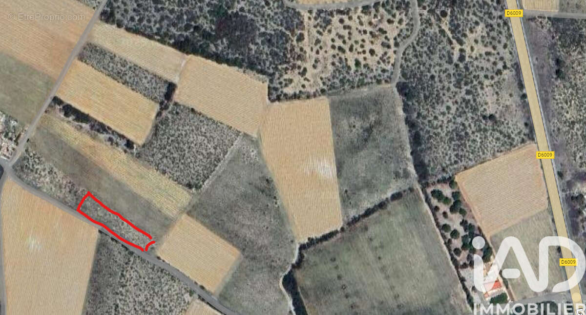 Photo 2 - Terrain à LA PALME