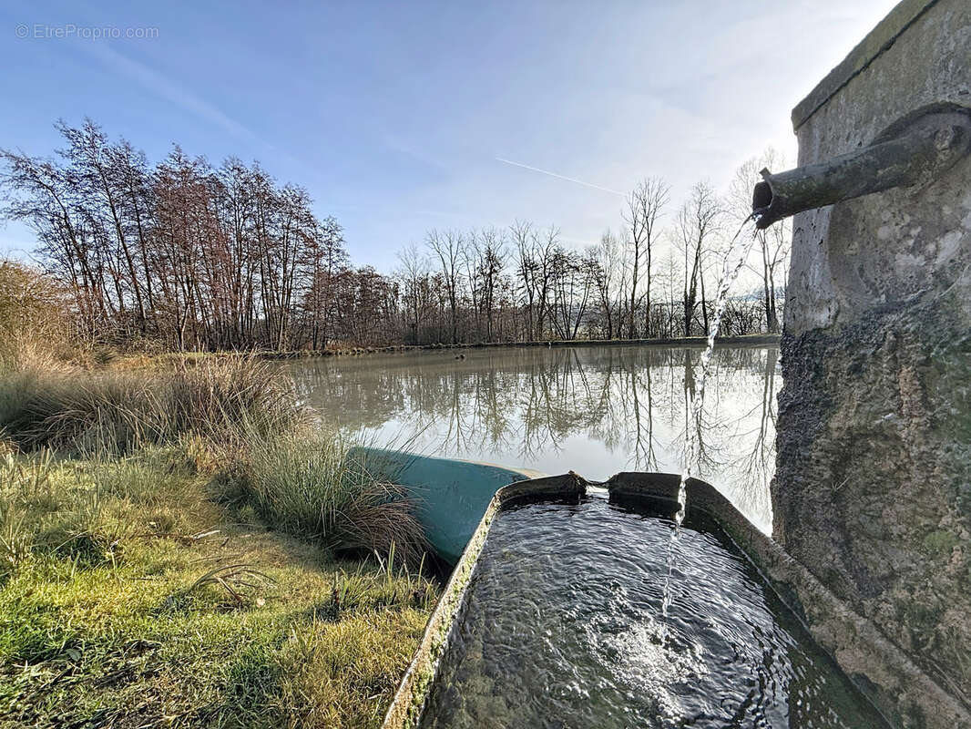 Terrain à MIRECOURT