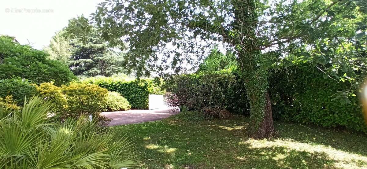 Maison 204 m² à Saint-Aubin-De-Medoc  - photo 9