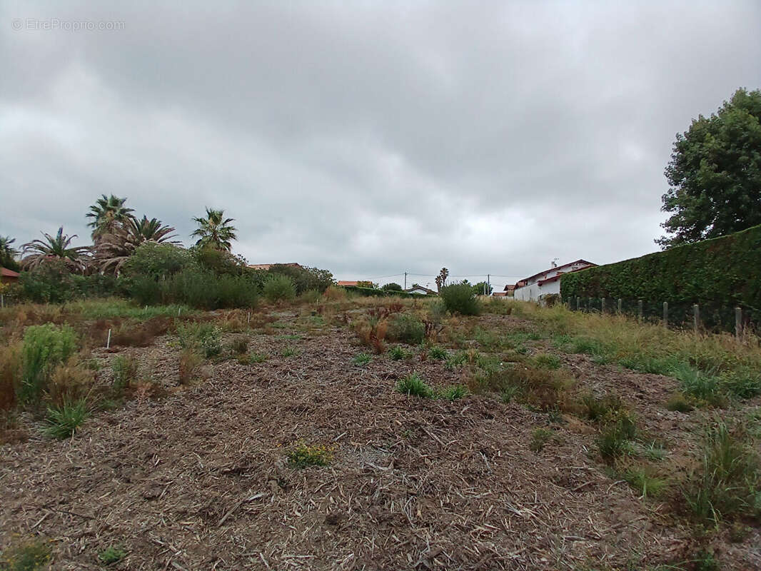 Terrain 570m² à bidart - photo 3