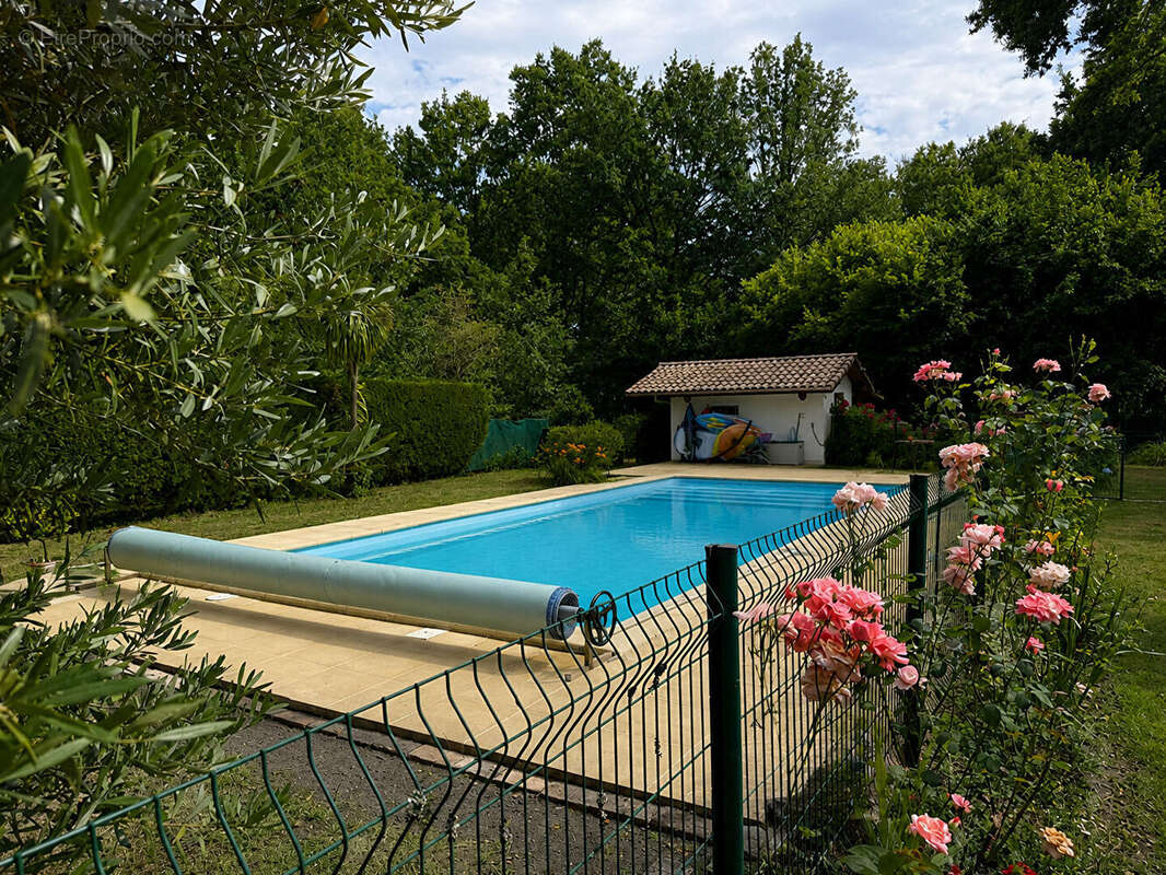 Maison à BELIN-BELIET