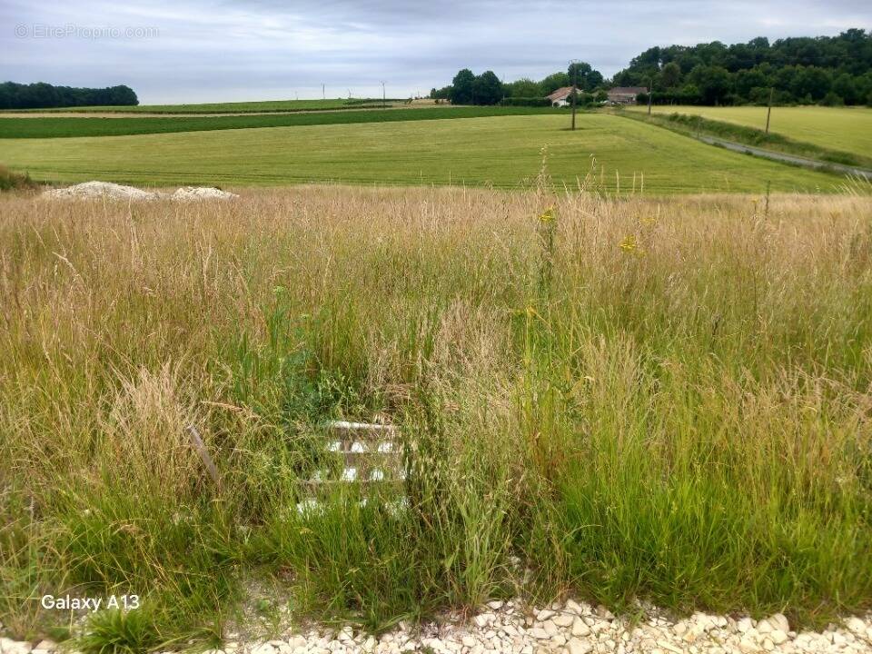 Terrain à SAINT-MEDARD