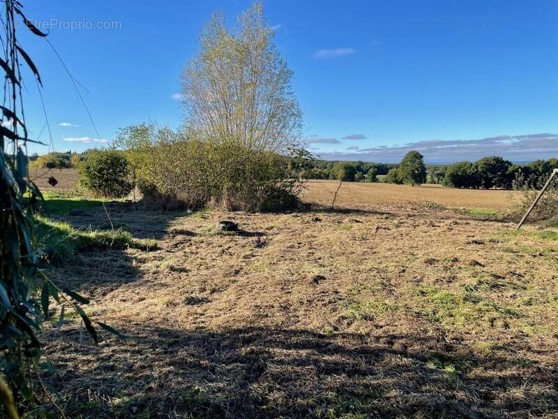 Terrain à PAULHAC