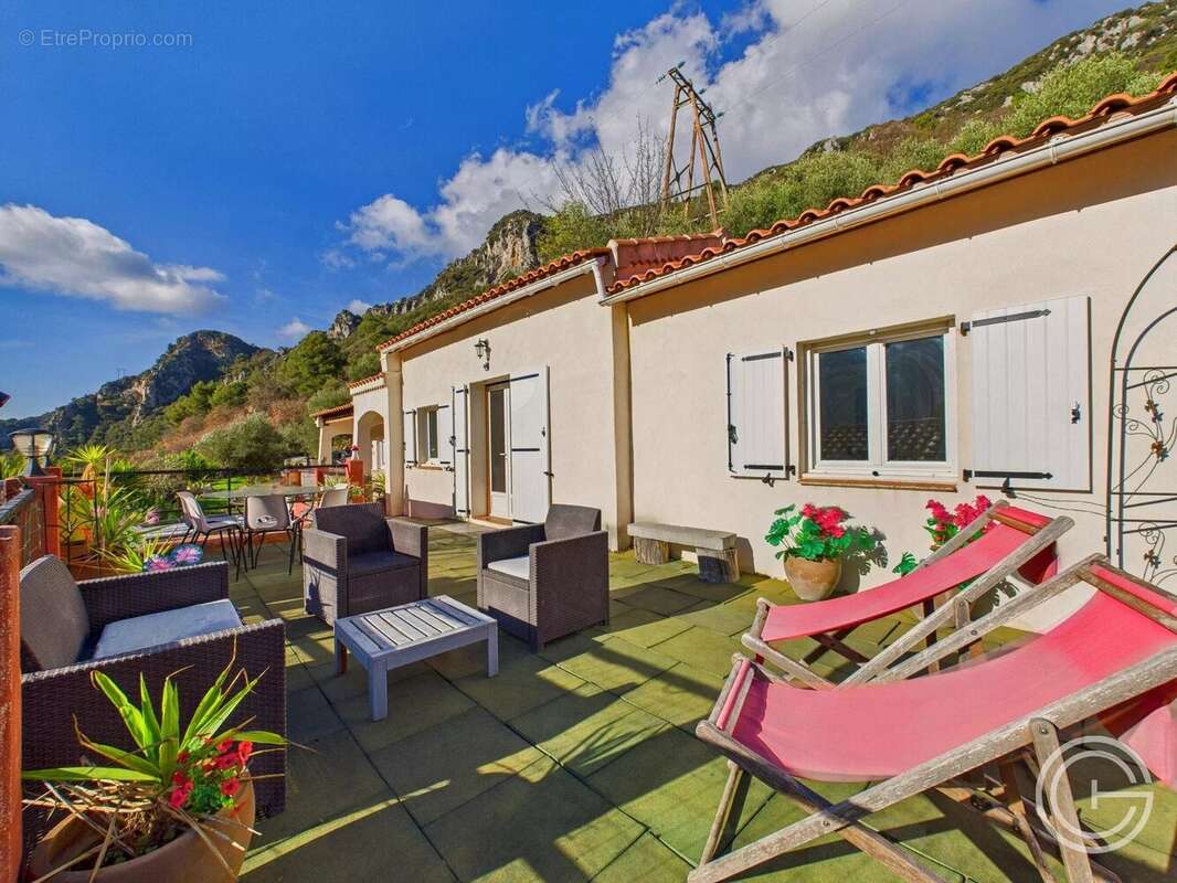 Propriété avec deux maisons et studio – 7 500 m² de terrain - route de l'Escarène - PEILLE - photo 15