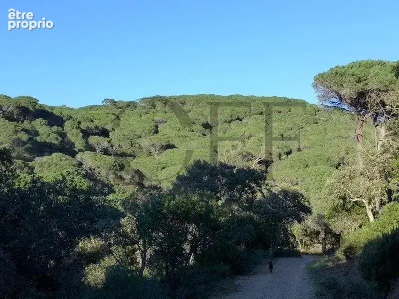 83350 RAMATUELLE - Elégante propriété provençale au coeur d'un domaine naturel de plus d'un hectare - photo 3