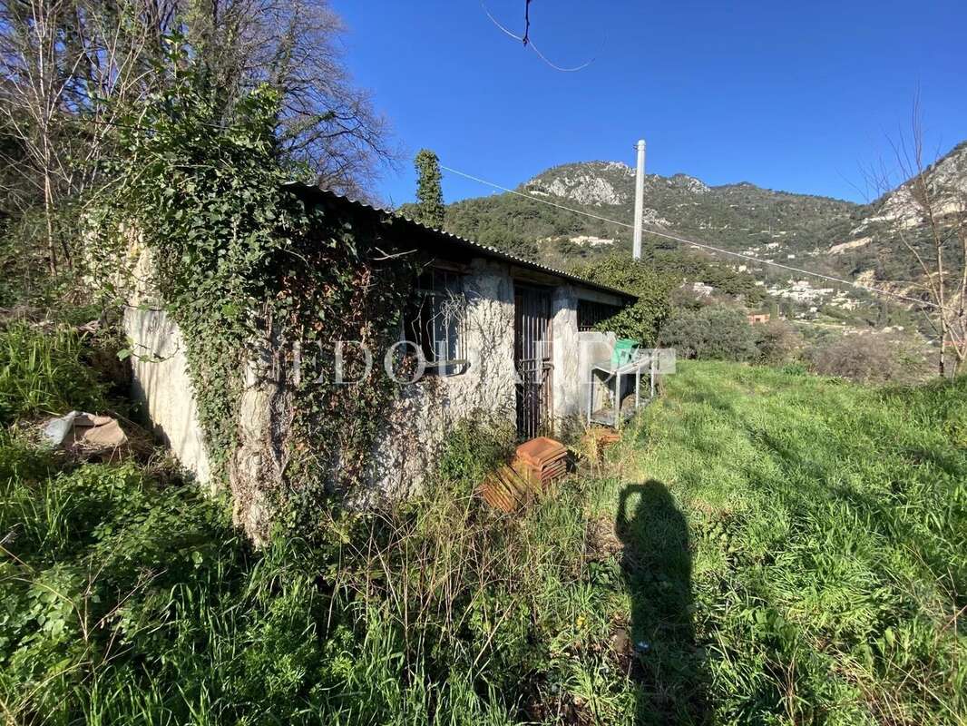 Terrain à SAINTE-AGNES