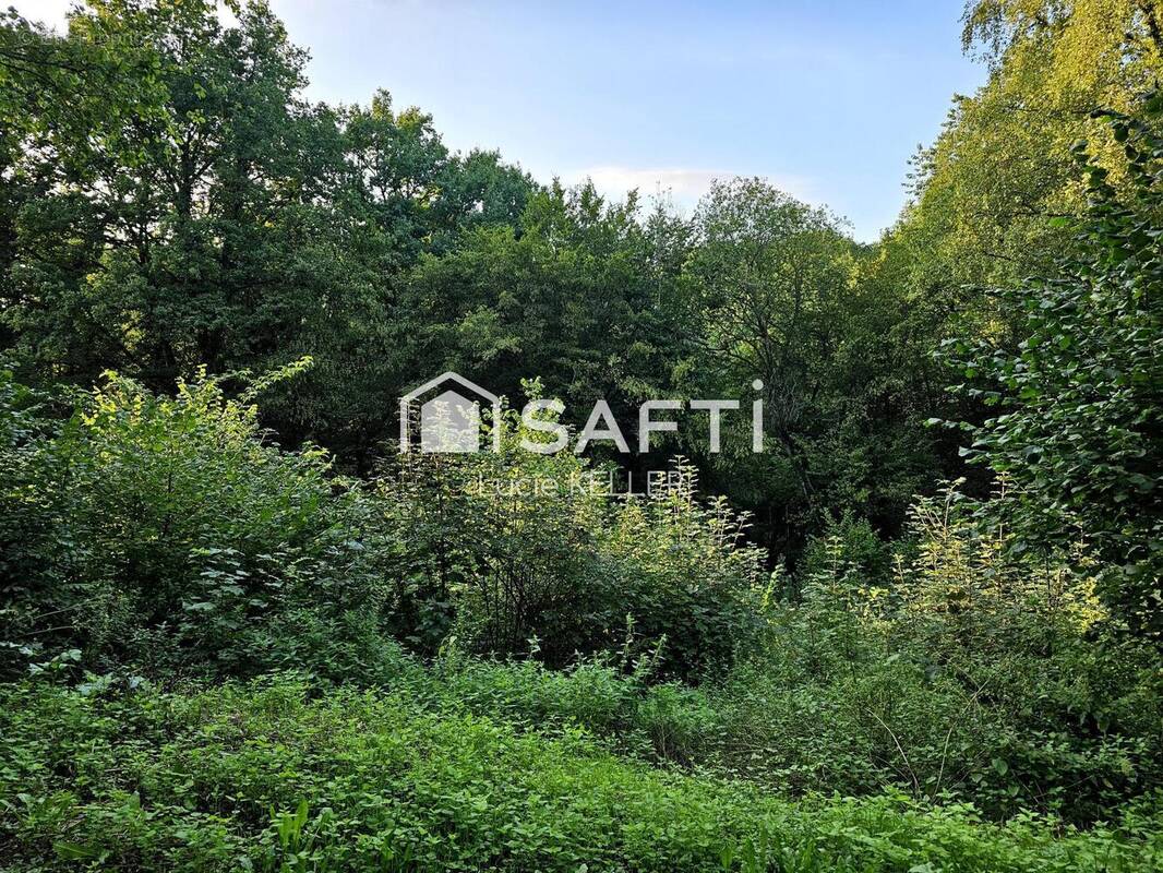 Photo 1 - Terrain à HOMBOURG-HAUT