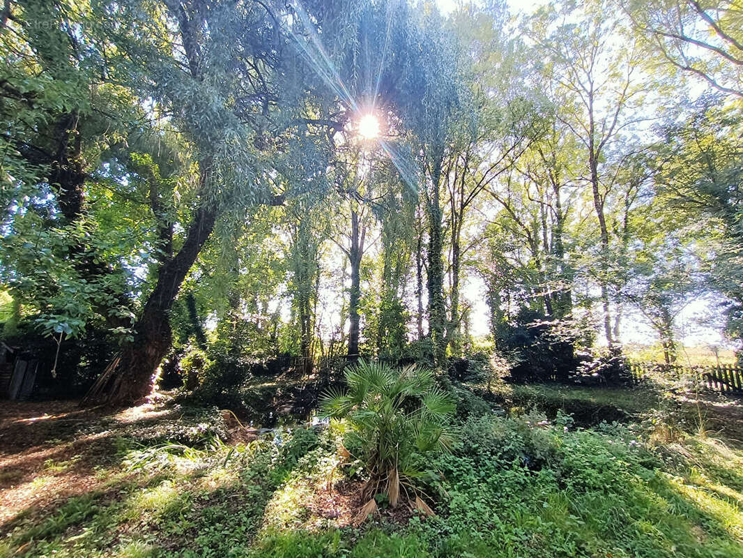 Maison à SAINT-HIPPOLYTE