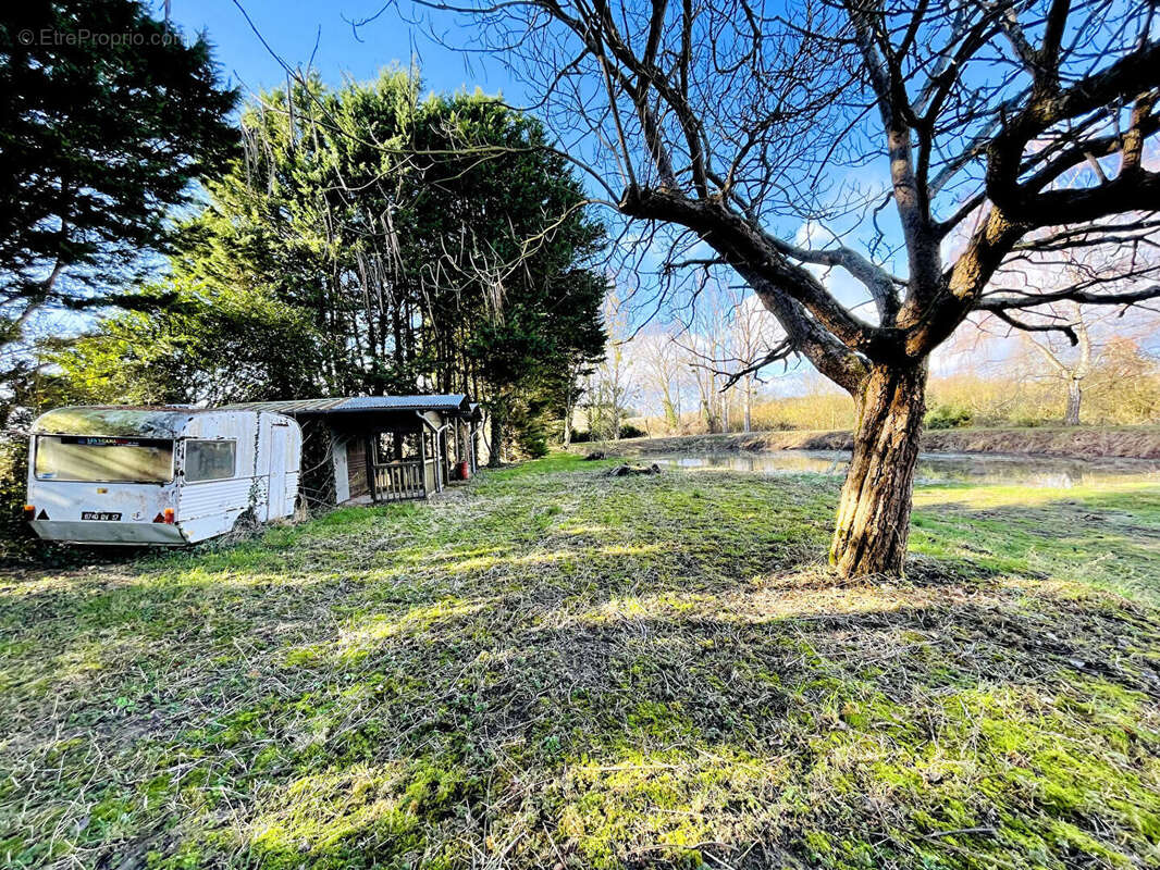 Terrain de loisir avec étang - 7 650 m² de nature - photo 6