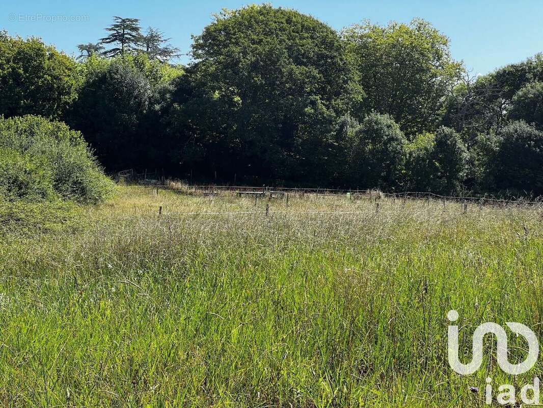 Photo 4 - Terrain à ANGLET