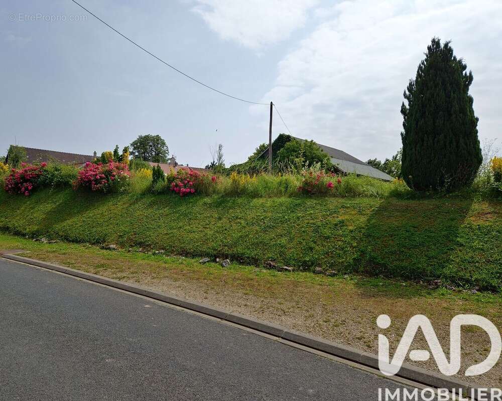Photo 3 - Terrain à BOUCHY-SAINT-GENEST