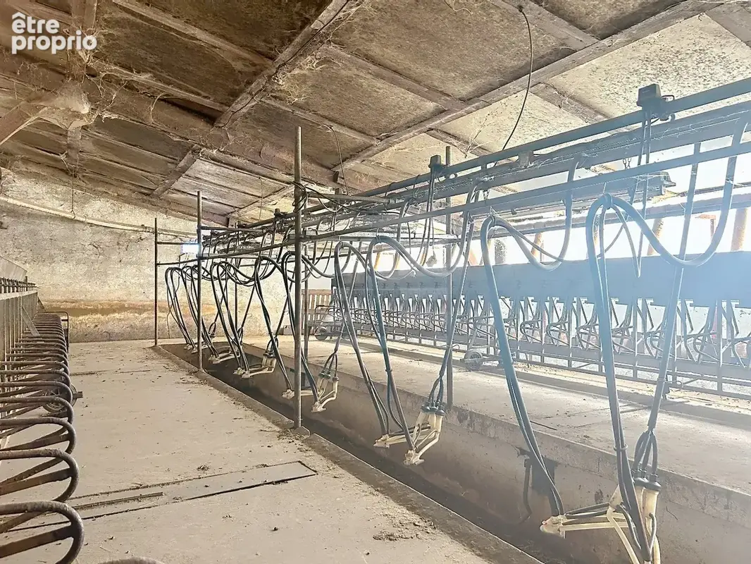 TARN - Propriété agricole spécialisée en élevage ovin - photo 6
