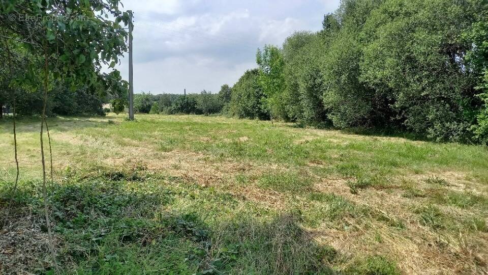 Terrain à NONTRON