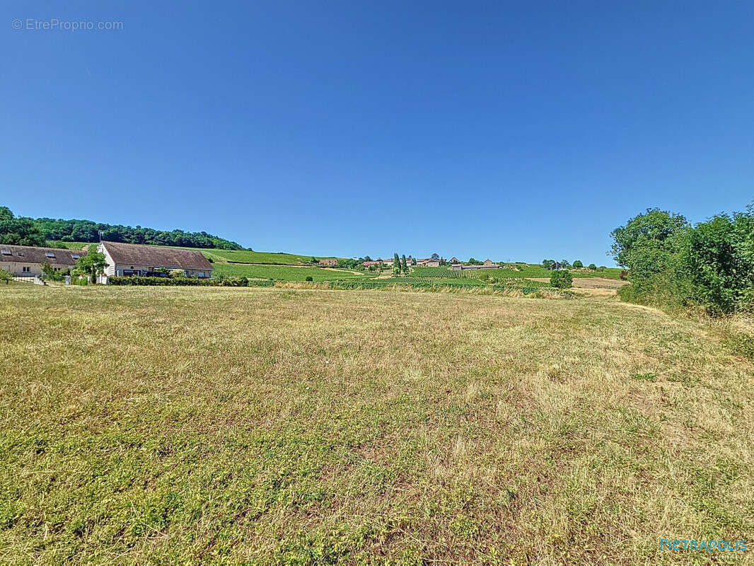 Terrain 2284 m² à Buxy  - photo 4