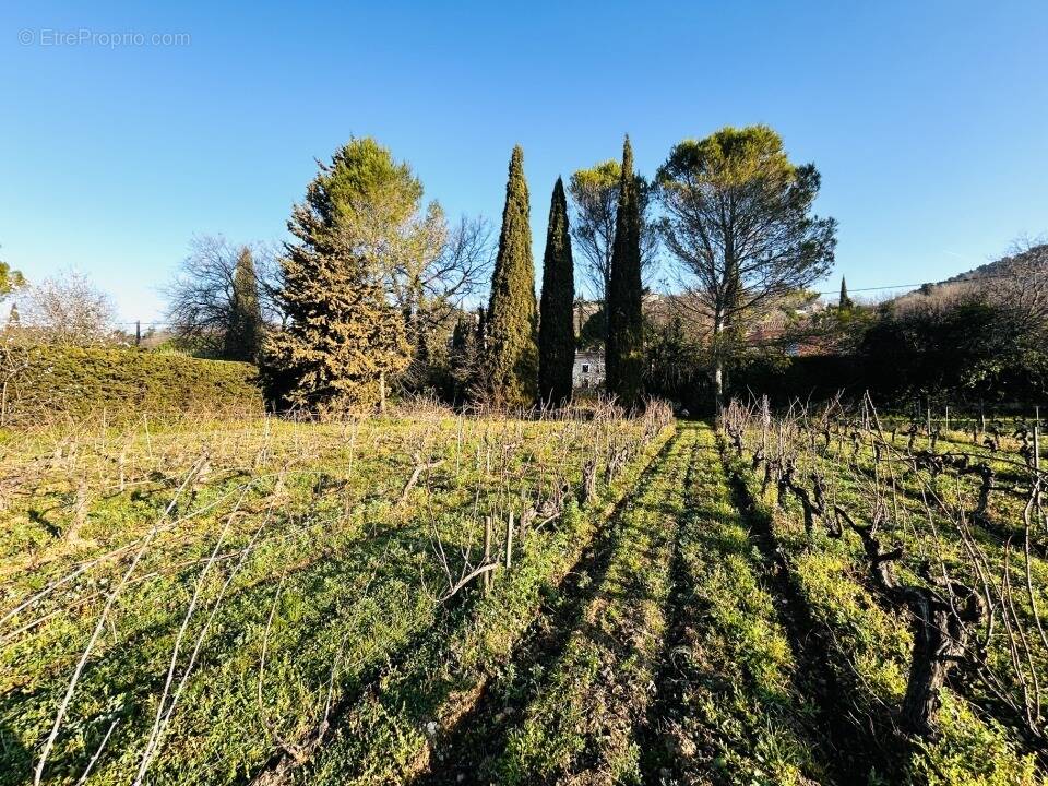 Terrain à DRAGUIGNAN