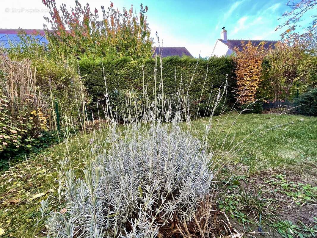 Appartement à SAINT-APOLLINAIRE