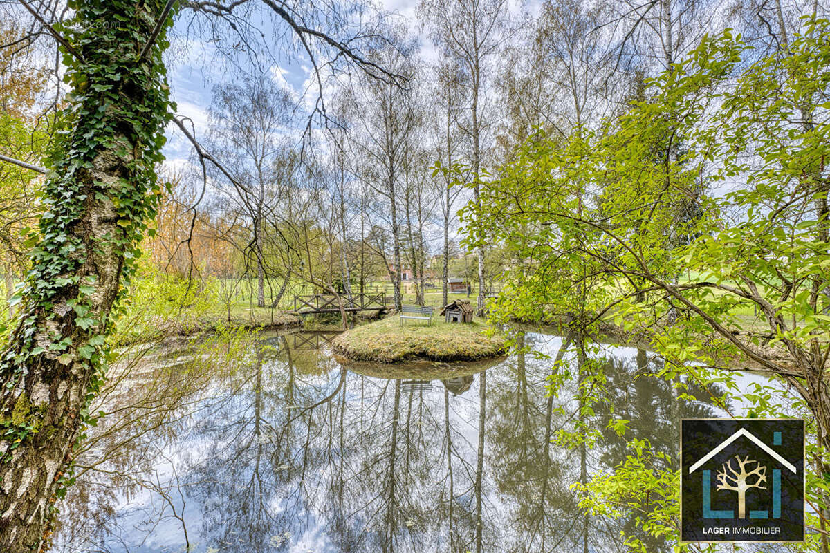 Maison  Faramans avec magnifique terrain et plan d'eau - photo 11