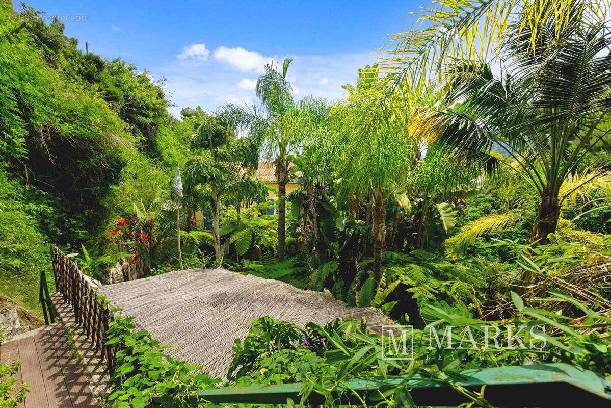 Magnifique propriété dans un jardin exotique - photo 38