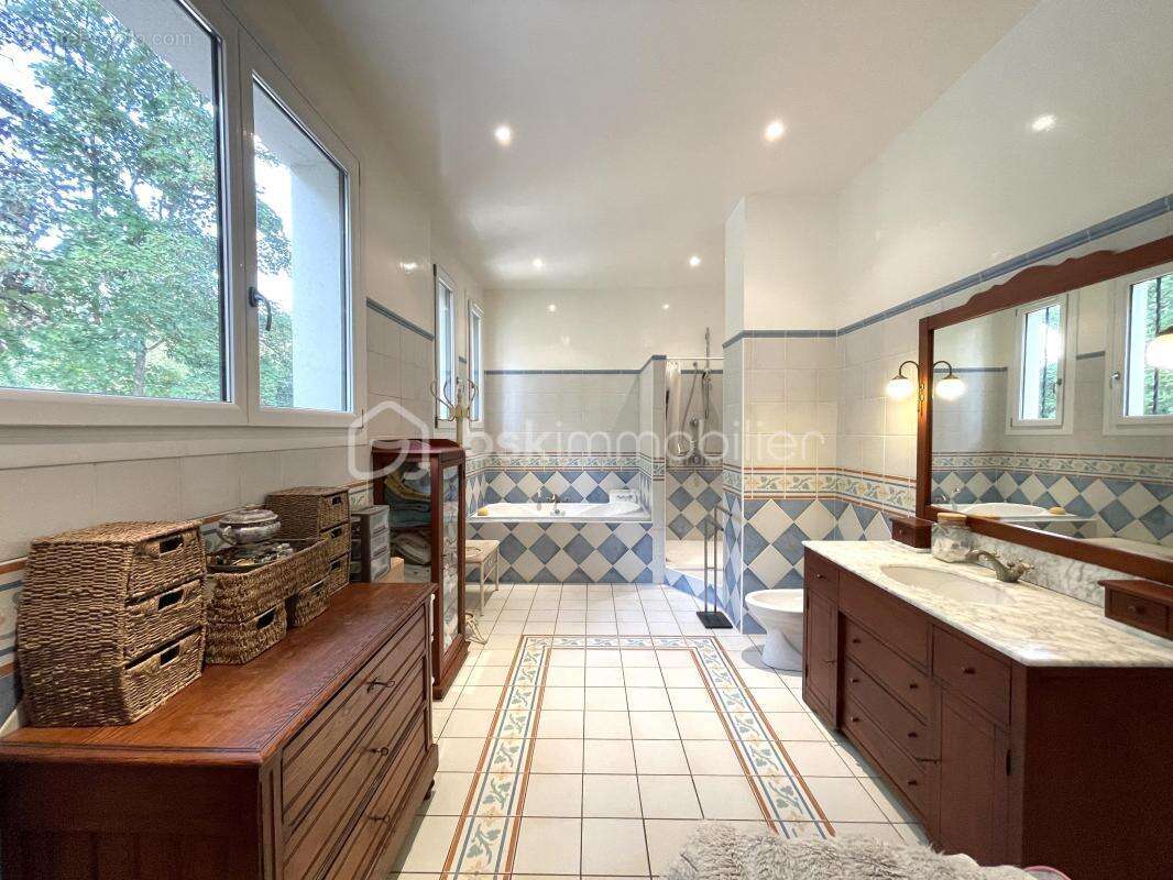 A Vendre / Propriété bucolique à Germigny L'évêque 263 m2 - photo 14