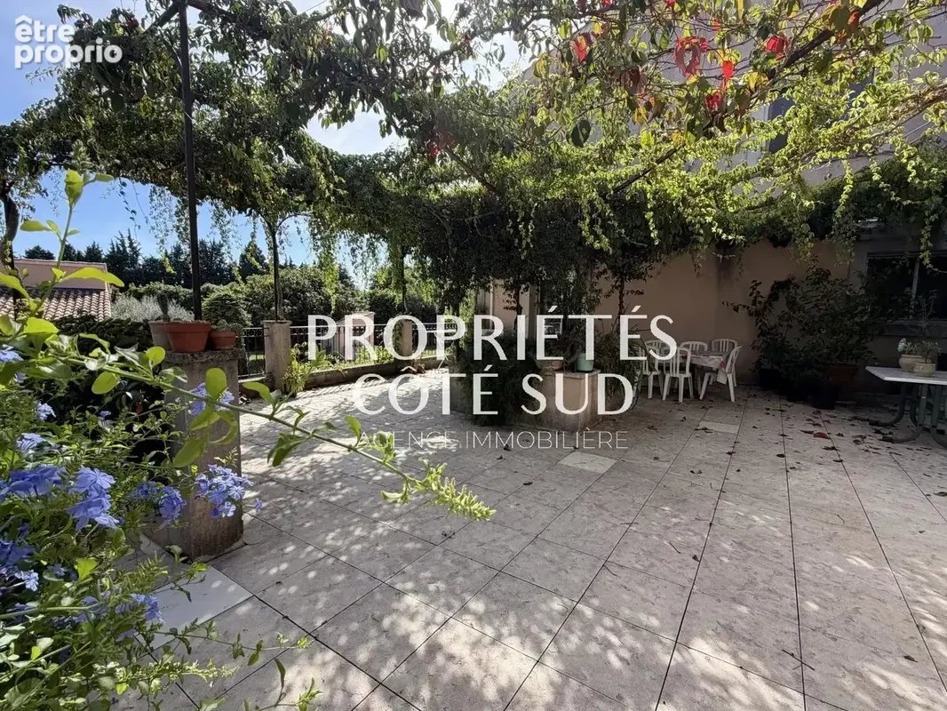 Avignon la barthelasse ensemble immobilier - photo 2