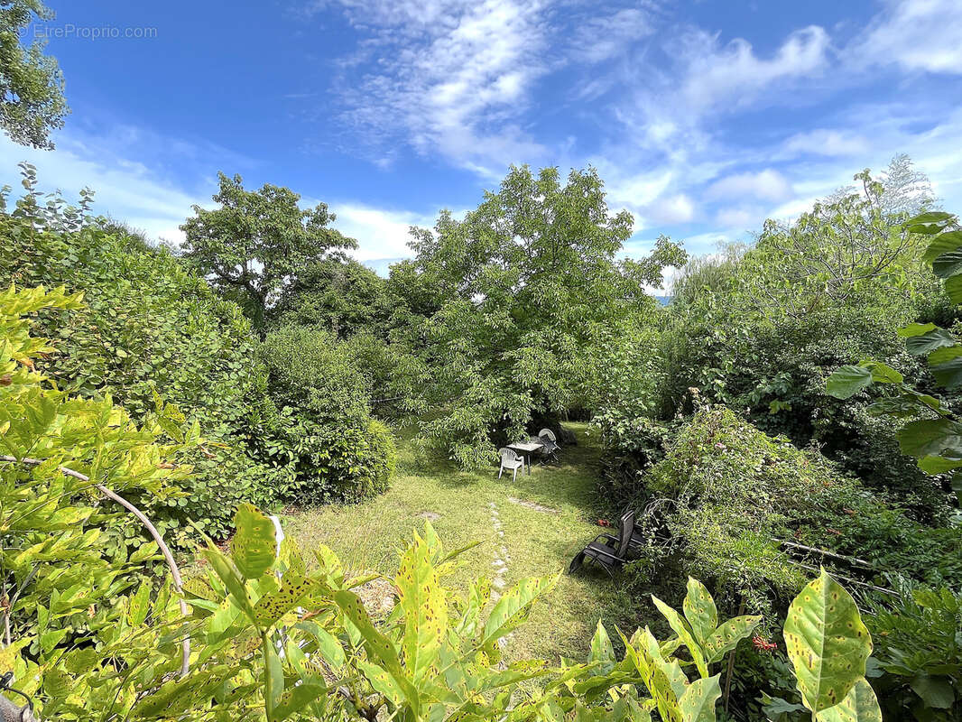 Terrain à MESSERY