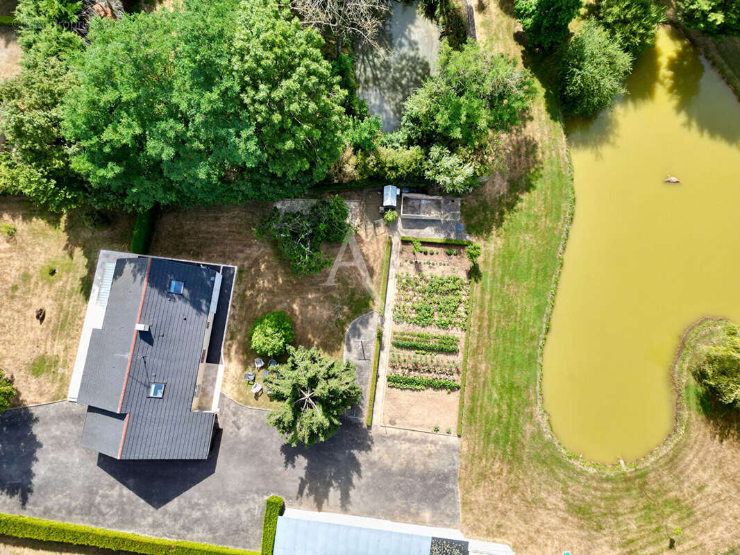 Maison Le Bignon Du Maine 7 pièce(s) 109 m2 - photo 16