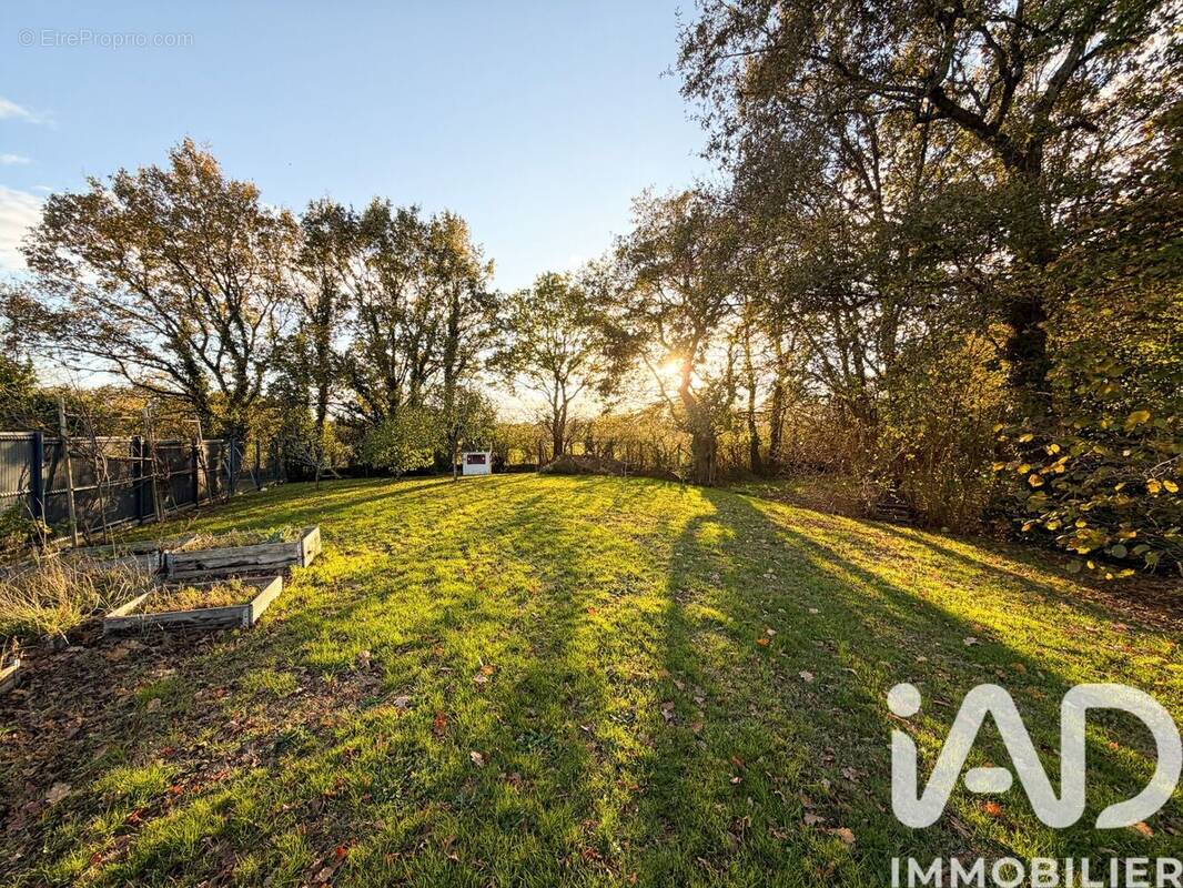Photo 1 - Maison à SAINT-ANDRE-DES-EAUX