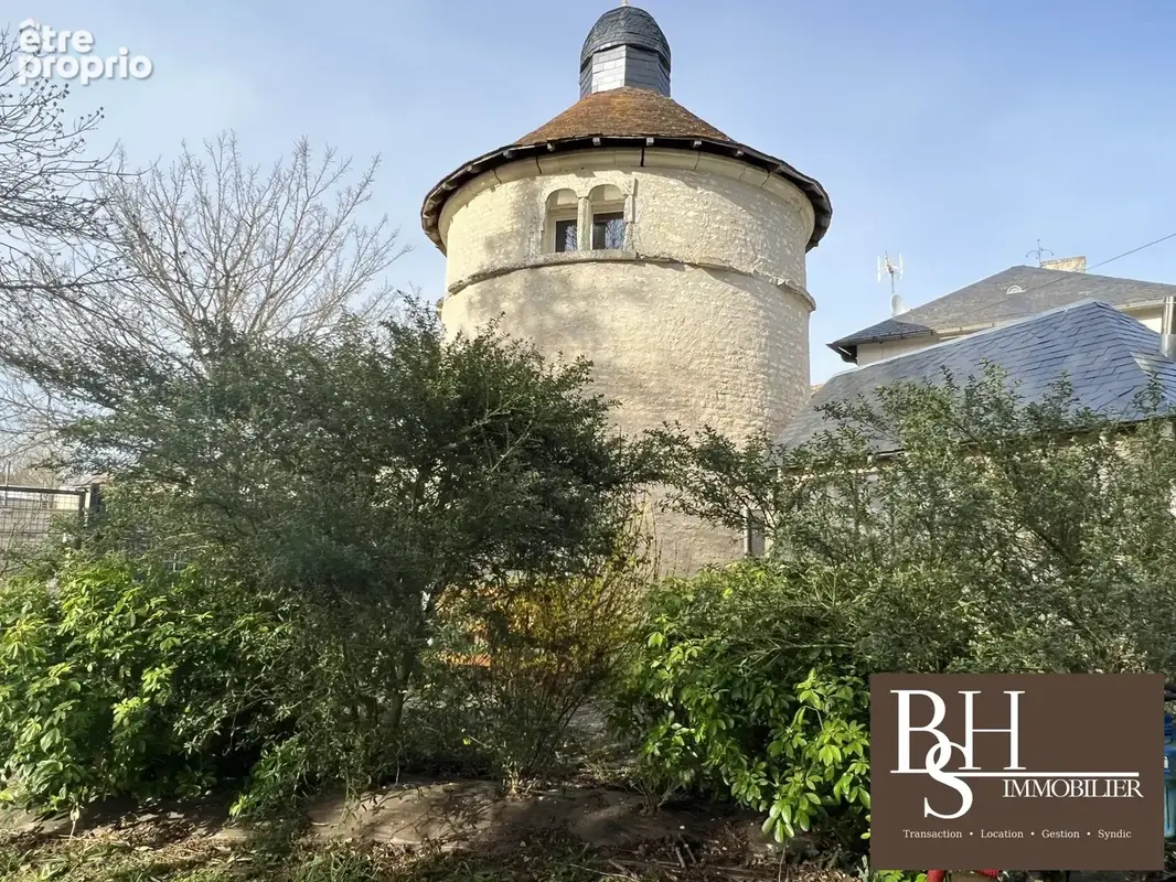 Maison 15 pièces 650 m² à vendre à Vendeuvre-Du-Poitou (86380) - photo 3