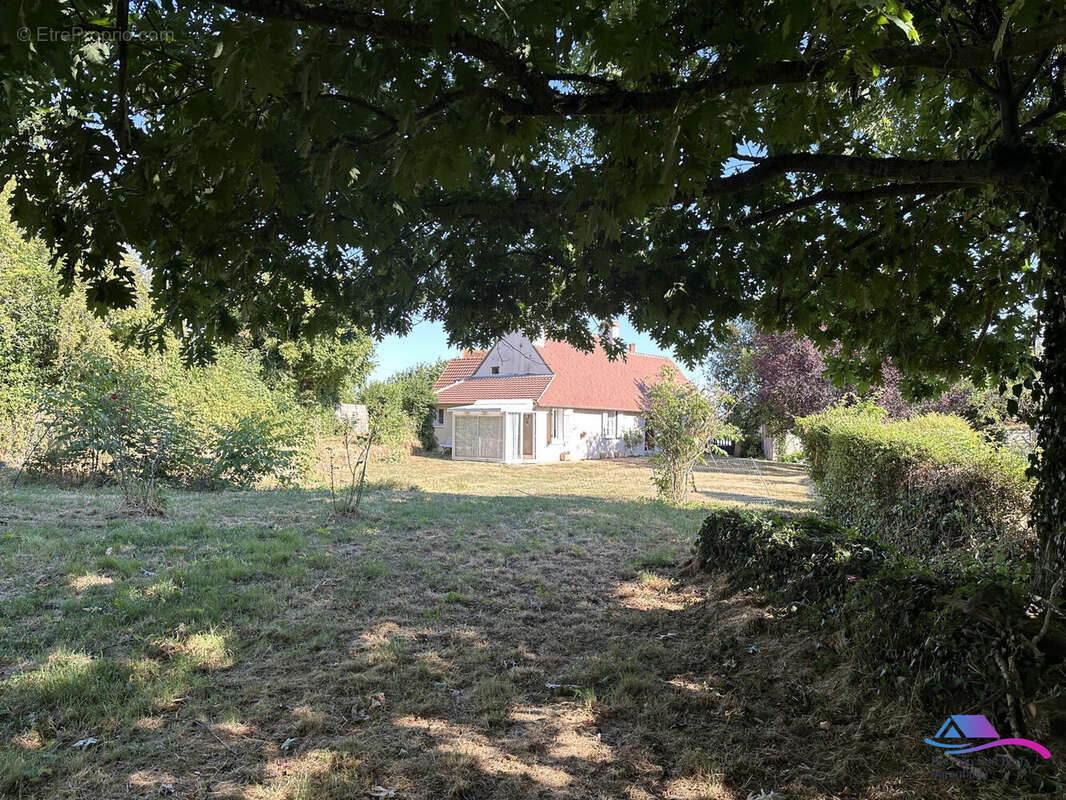 Terrrain - Maison à MONTGIVRAY