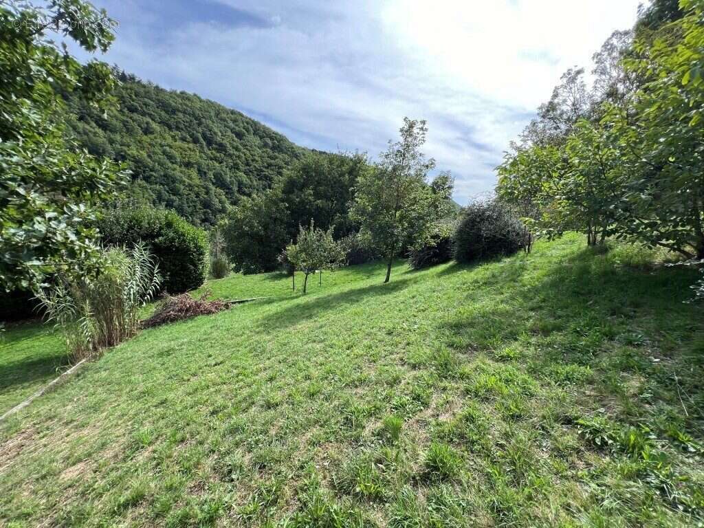Maison à SAINT-LEGER-DE-PEYRE