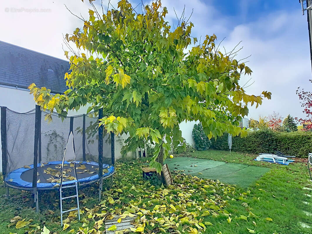 Maison à TOURS