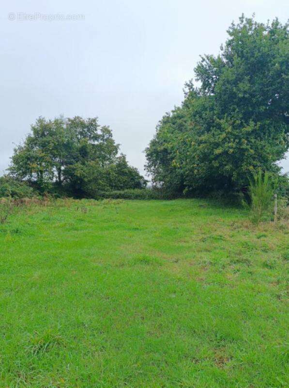 Maison à CHATEAUNEUF-DU-FAOU