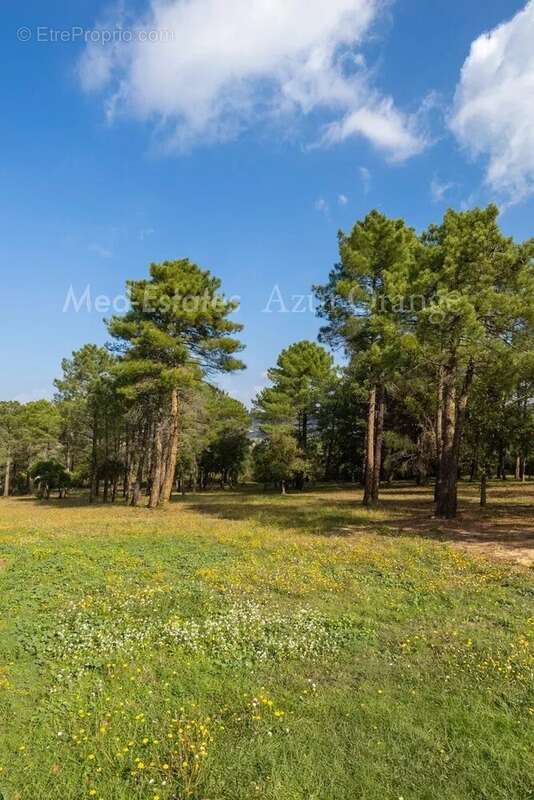 Maison à PLAN-DE-LA-TOUR