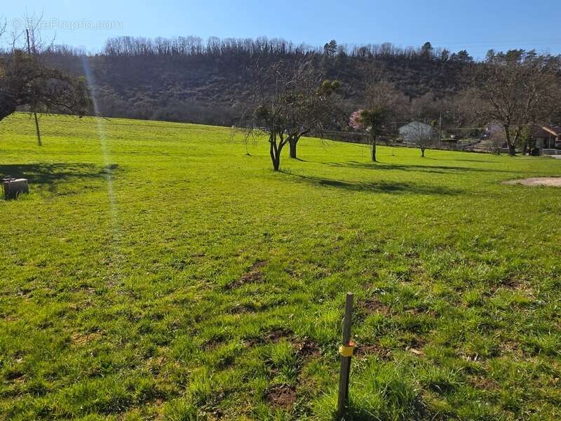 Terrain à MESSIA-SUR-SORNE
