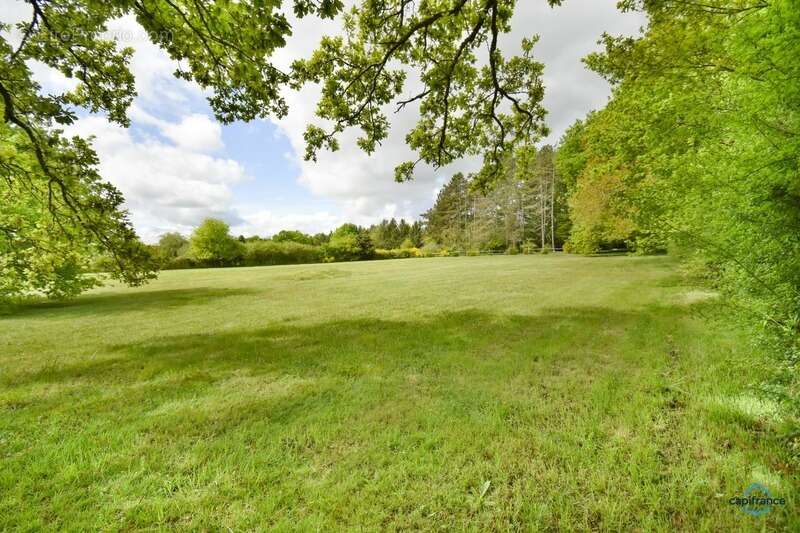 Maison à VIGNOUX-SUR-BARANGEON