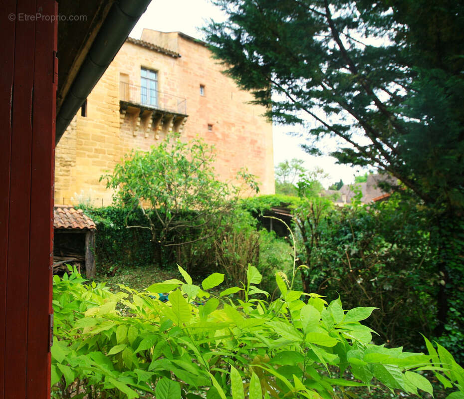 Maison en pierre avec jardin - photo 22