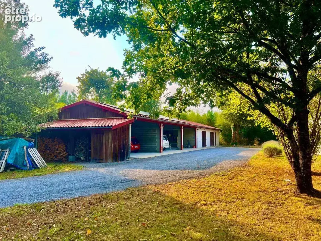 Sanguinet - maison 210 m² sur 1,3 ha - piscine • dépendance - photo 9
