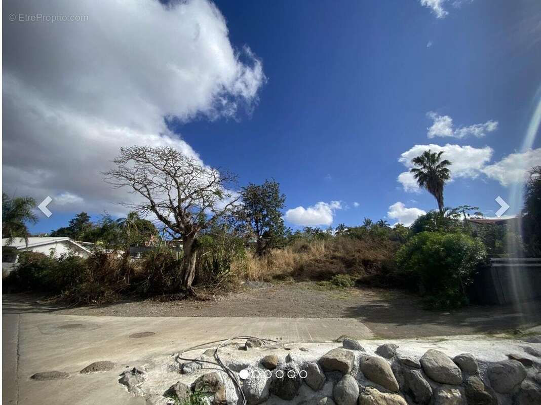 Terrain à SAINT-PAUL