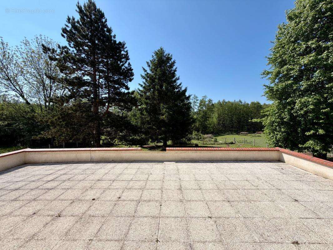 Maison avec vie de plain-pied, 3 chambres, sous-sol complet et terrain de 5 000 m² – Proche Lisieux - photo 4